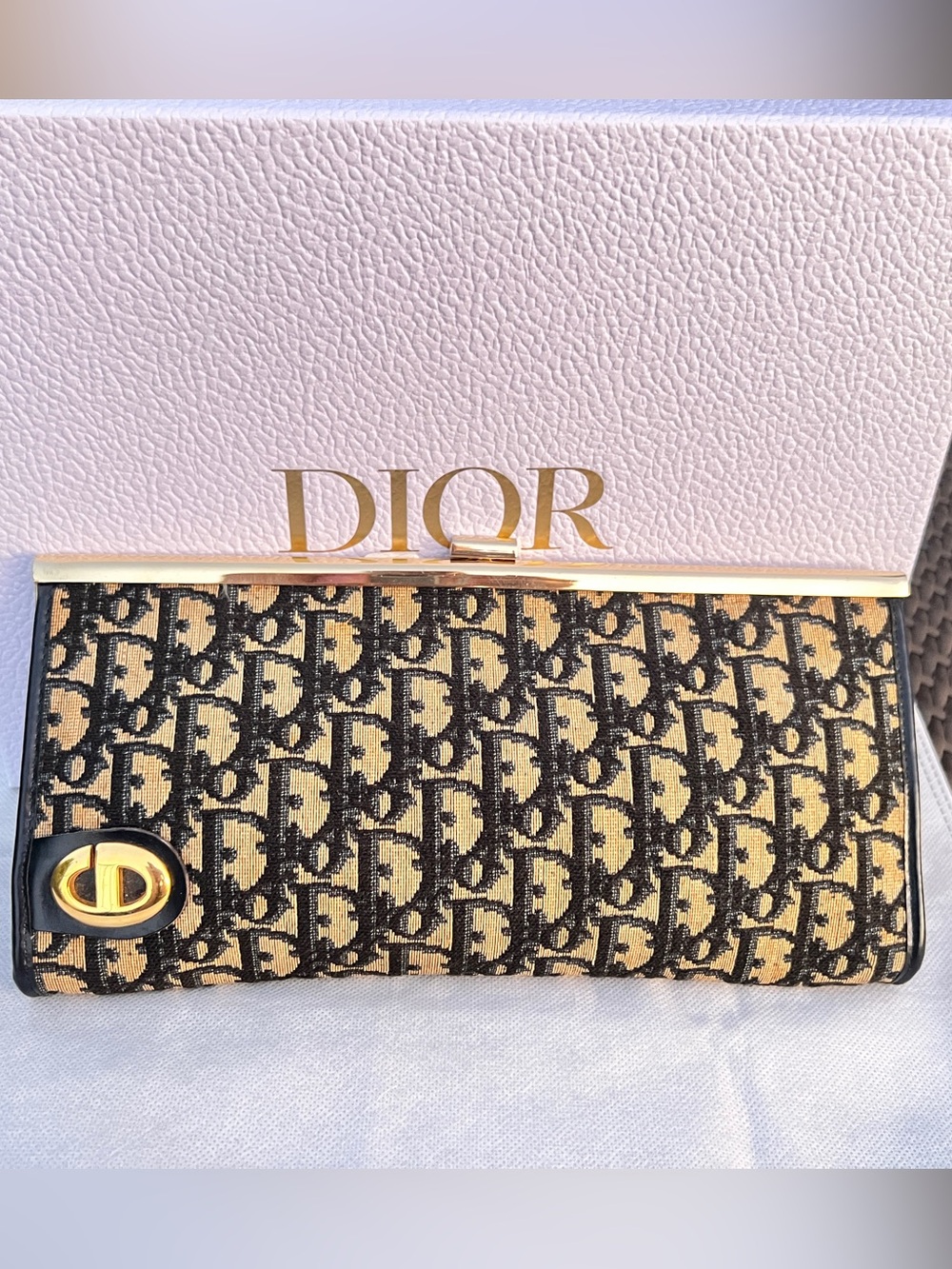 Christian Dior Trotter Oblique Canvas Clutch